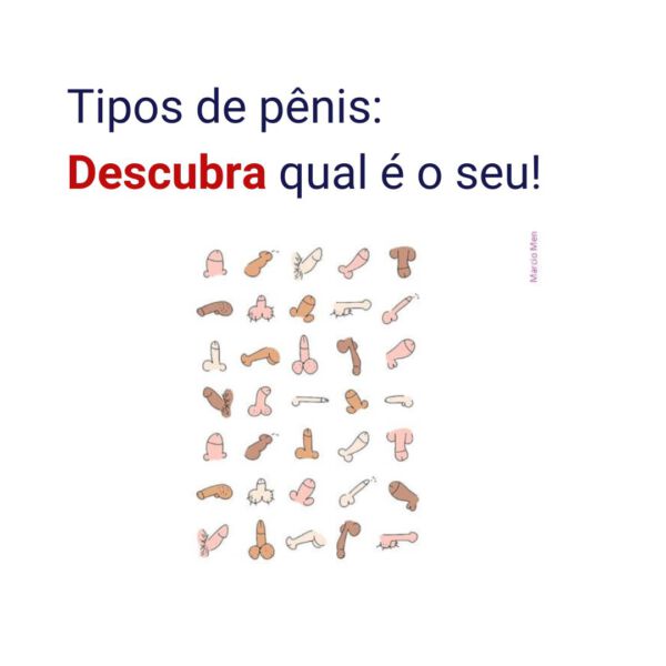 Tipos de penis