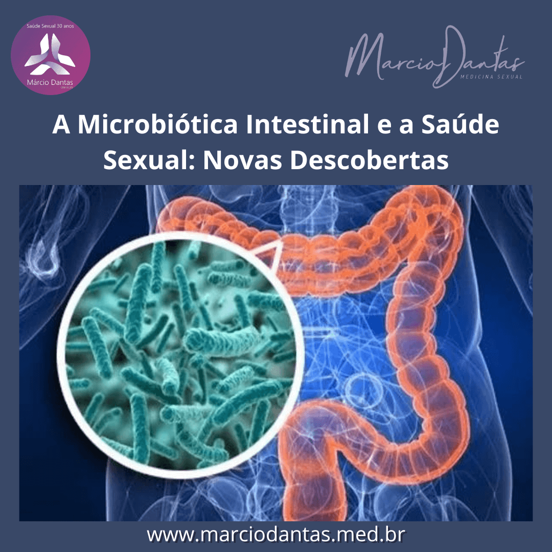 microbiota intestinal e disfunção erétil