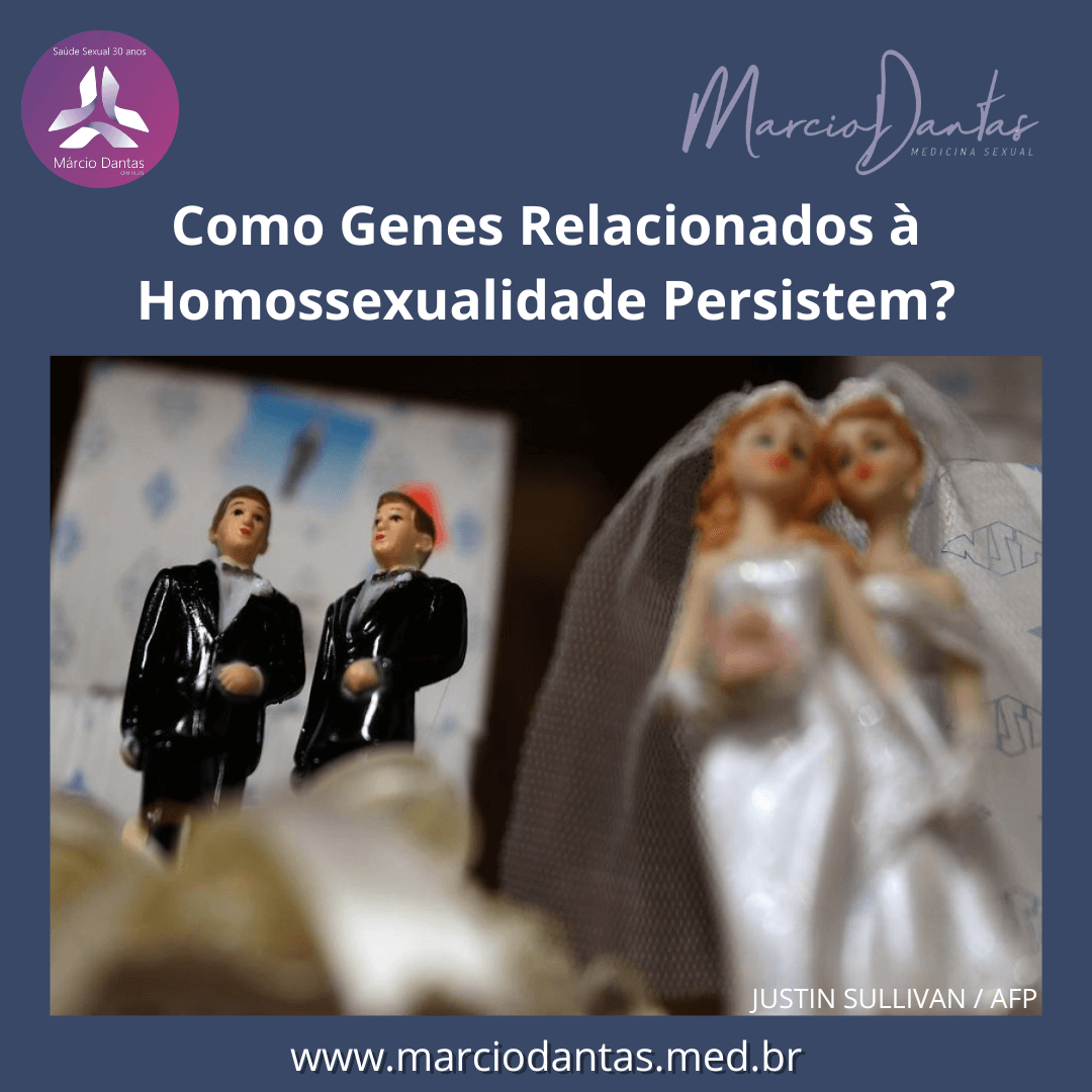 Como Genes Relacionados à Homossexualidade Persistem?